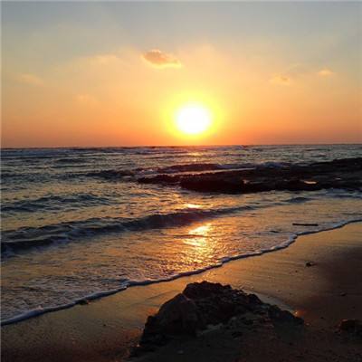 乐鱼app官方下载