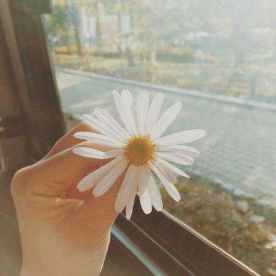 购彩中心app下载